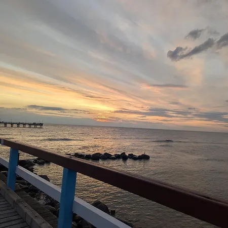 Smilciu Liepa * Palanga